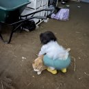 서율농장 이미지