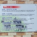큰손생오리흑염소 이미지