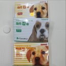 온누리강변프라자약국 이미지