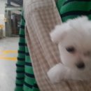 폴리파크 연산점 이미지