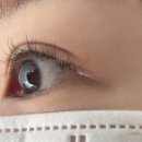 1359 | [인천_구월동] 구월동 속눈썹펌 맛집 찾으면 여기, 9년 운영 단골샵 지앤미 솔직 후기