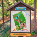 지리산유아숲체험원 네이버블로그