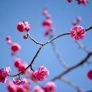 뽑기하니 이미지