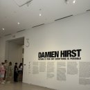 현대미술관 서울 특별전 솔직 후기! 초청권으로 데미안 허스트부터 개념미술까지 알차게 보고 왔어요 🎨✨