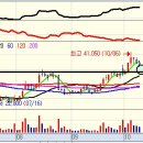 일성트레이딩 이미지