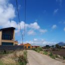 대정 골드빌라스 풀빌라 대가족숙소 이미지