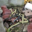 명도농장 이미지