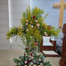 성전농장 이미지