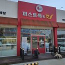 퍼스트 독 앤 캣 이미지