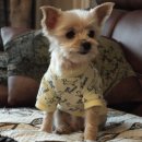 대동음향 이미지