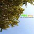 예보은