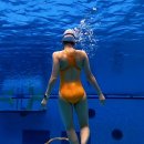 수영-305 이미지