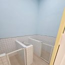 댕스토리 이미지