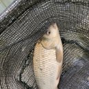 백용낚시터 이미지