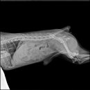 손수의과병원 이미지