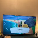 백도 SEA 이미지