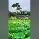 인생은 구름 같은 것 이미지