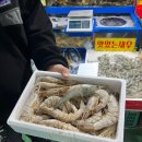 금정수산 | 안양 농수산물시장 맛집 ‘금정수산’ | 자연산 대하 1kg 포장 후기