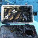 대야도항 이미지