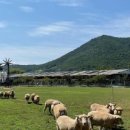 한우드림농장 이미지