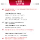 선일금고 이미지