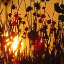 정동1교 이미지