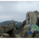 황령산 벚꽃약수터 이미지