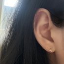 464 | 디디에두보 미스두 골드 원터치 귀걸이 JDRERYF464S 후기