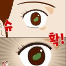 콩깍지 이미지