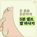 발마사지 Daum카페