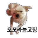 대천체리펜션 이미지