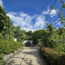 남해 사랑채 이미지