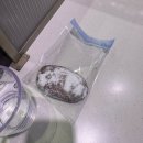 신흥 애 퐁당 | 2026(2)