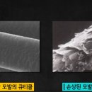 위그스투디오 이미지