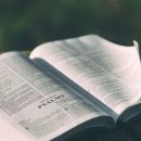 한창약품(주) 이미지