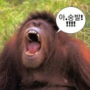 예산-67 | 청년안심주택 당첨 후기: 골치 아픈 창 많은 거실, 태릉입구역 이니티움 신혼 67형 커튼을 찾아서-
