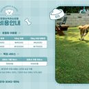 동물보육원 김포지부 이미지