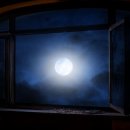 광주세종 이미지