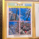 이인중학교 | 바쁘다 바빠 3월