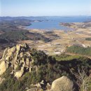 시청 건너 버스정류장 이미지