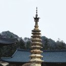 평창 월정사 팔각구층석탑 | 평창 월정사 팔각구층석탑