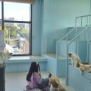 솔빈마루 이미지