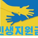 올리브영삼척점