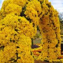 계양경기장 보조경기장 이미지