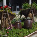 양지바른 이미지