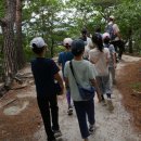 [3,4학년 숲탐험] 6월 15,22일 새콤한 산딸기, 마당바위 오르기 이미지