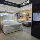 금성파크