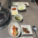 소철갈매기 | [김해 주촌맛집] "소철갈매기" 숯불구이전문점 방문후기