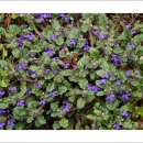 금창초등학교 이미지