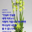샬롬 Daum카페